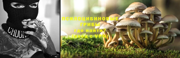 apvp Зеленокумск