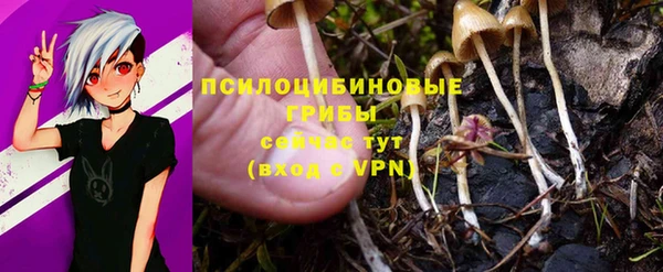 apvp Зеленокумск