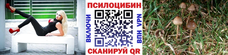 Псилоцибиновые грибы Psilocybine cubensis  Купить где  Игарка 